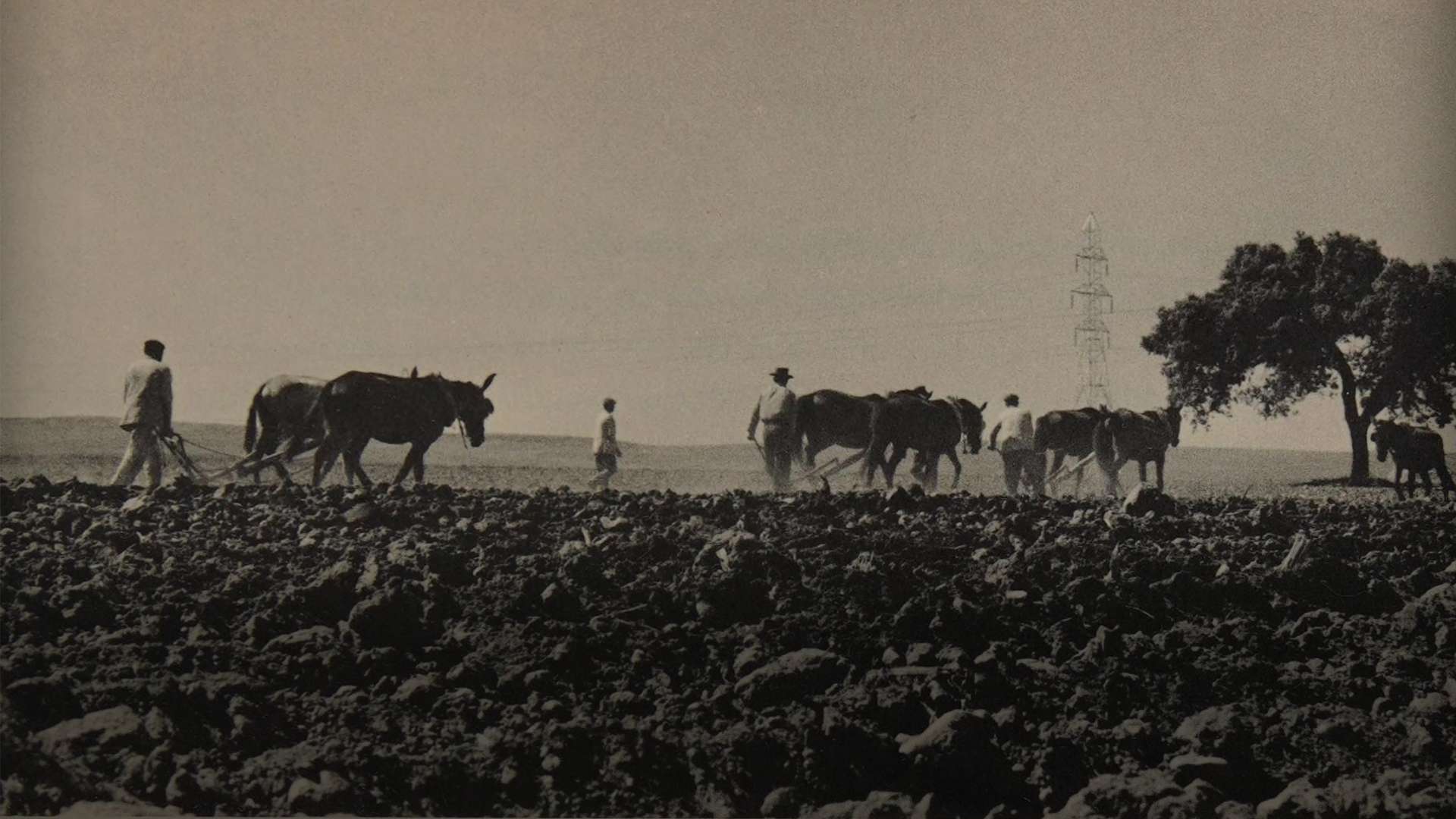 The representation of rural Spain in the work of Sonia and Tim Gidal: a look at "My Village in Spain"
