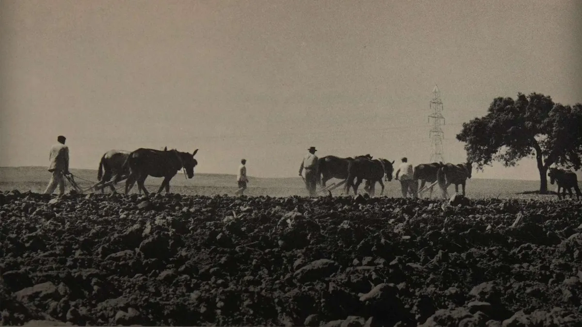 The representation of rural Spain in the work of Sonia and Tim Gidal: a look at "My Village in Spain"